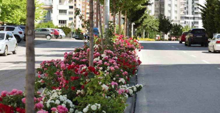 Talas’ta 2026 çiçek yılı etkinlikleri başlıyor
