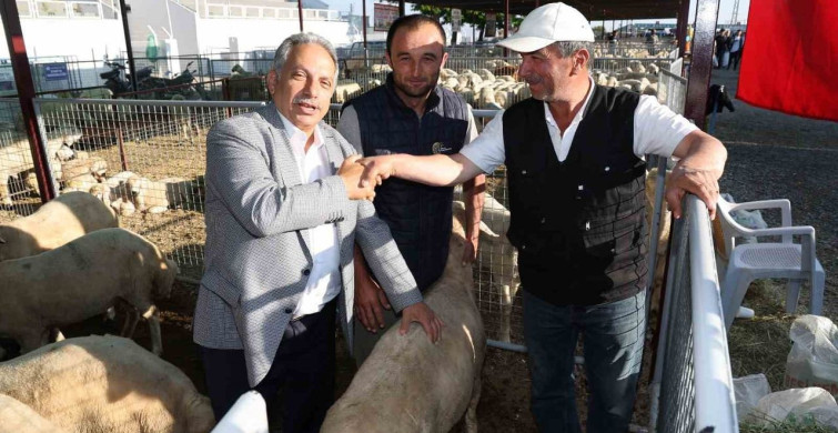 Talas'ta Kurban Satış Yerleri Kurası Tamamlandı