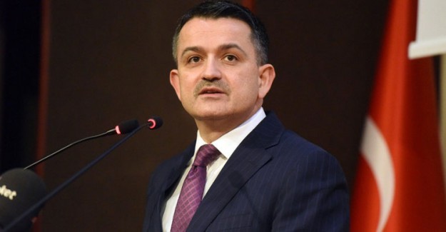 Tarım Bakanı Pakdemirli: Paramız Var ki Saman İthal Ediyoruz