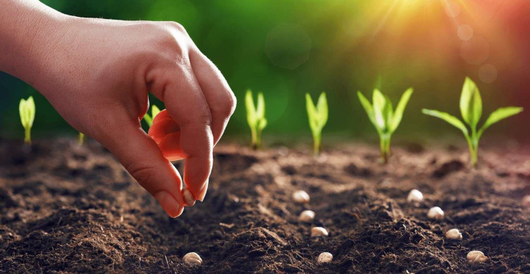 Tarım Ekonomisi DGS 2022 taban puanları ve bölüm kontenjanları