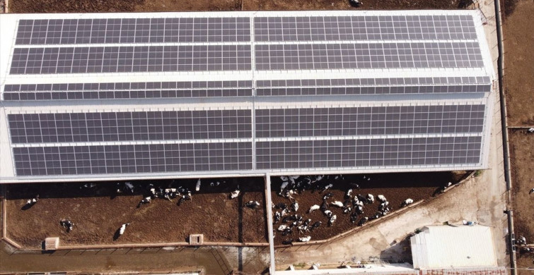 Tarım Orman Gençlik Konseyi: Geleceğin Tarımını Şekillendiren Gençler