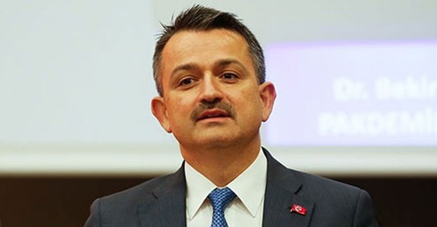 Tarım ve Orman Bakanı Bekir Pakdemirli, "Karşı Yangın" İddiasını Yorumladı
