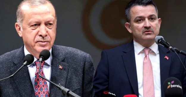 Tarım ve Orman Bakanı Bekir Pakdemirli'den Ağaç Dikme Bayramı Teklifine Cevap