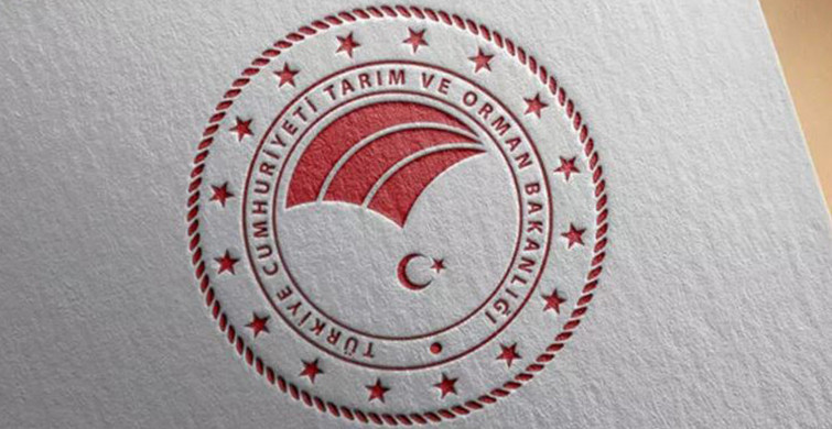 Tarım ve Orman Bakanı: Kurbanlık Sayısı Yüzde 33 Arttı