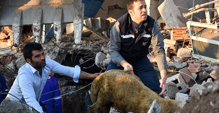 Tarım ve Orman Bakanı Pakdemirli: Tüm Zararlar Karşılanacak
