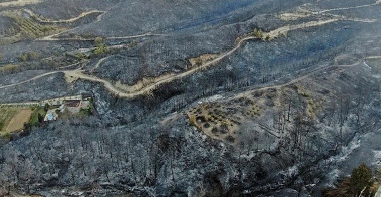 Tarım ve Orman Bakanı: Son 5 Günde 132 Yangından 125'ini Kontrol Altına Aldık