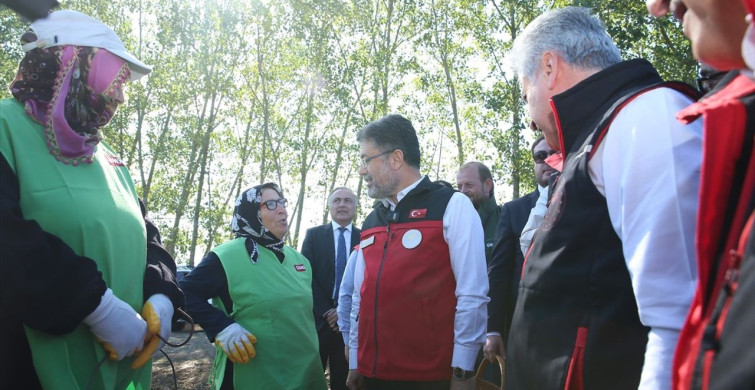 Tarım ve Orman Bakanı Yumaklı, Sakarya Kivi Hasadını Ziyaret Etti