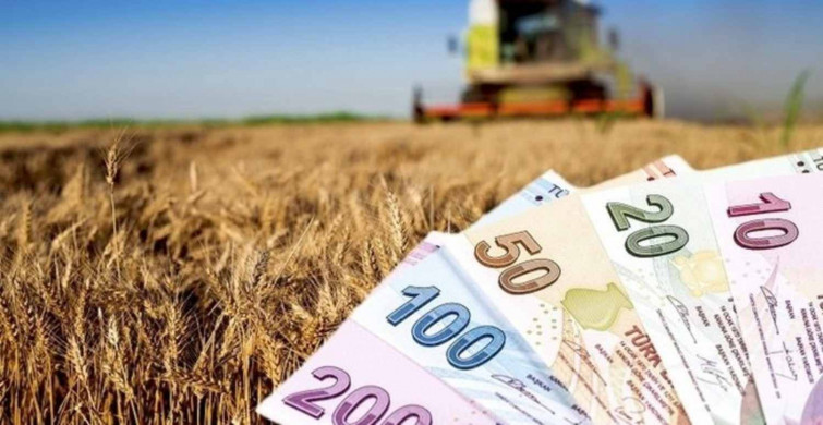 Tarım ve Orman Bakanlığı müjdeyi verdi! 156 milyon 585 bin liralık destek hedefinde çiftçiler yer aldı! Çiftçilere destek yardımı için tercih edilen 7 farkı yetiştiriciler belli oldu