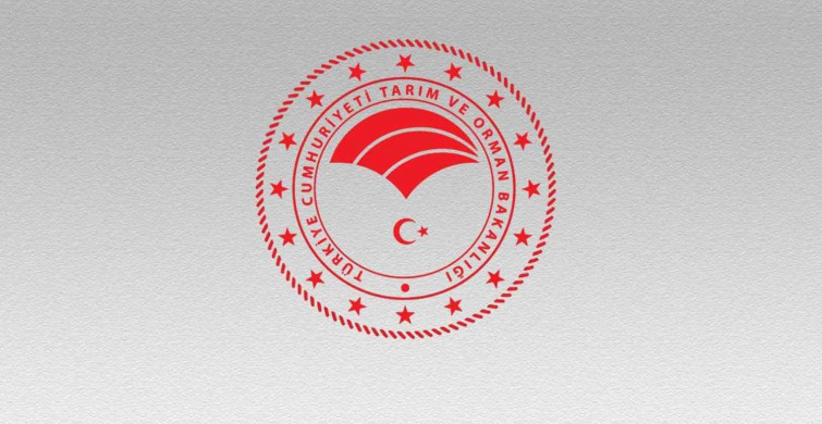 Tarım ve Orman Bakanlığı sadece KPSS şartlı personel alımı yapacak! Başvuru şartlarını karşılayan 8 bin TL maaş alacak