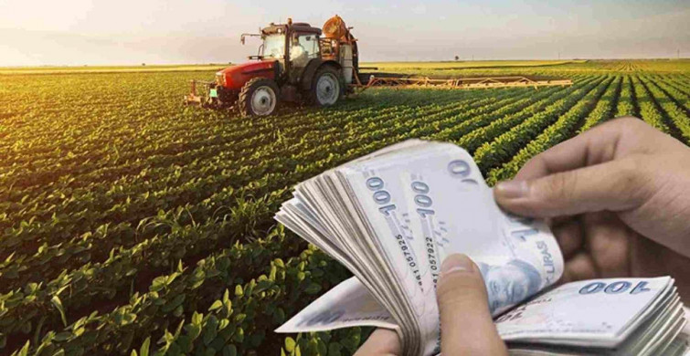 Tarım ve Orman Bakanlığı'ndan çiftçilere destek! Karşılıksız olarak 5000 TL destek sağlanacak