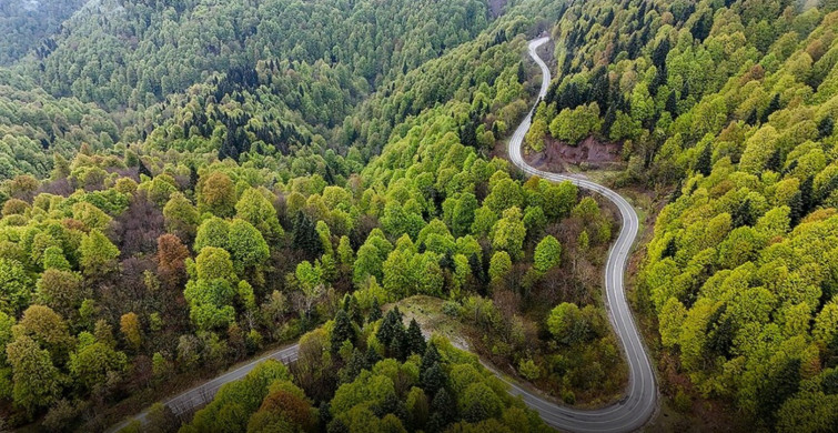 Tarım ve Orman Bakanlığı'ndan Orman Yangınlarına Karşı Kritik Uyarı