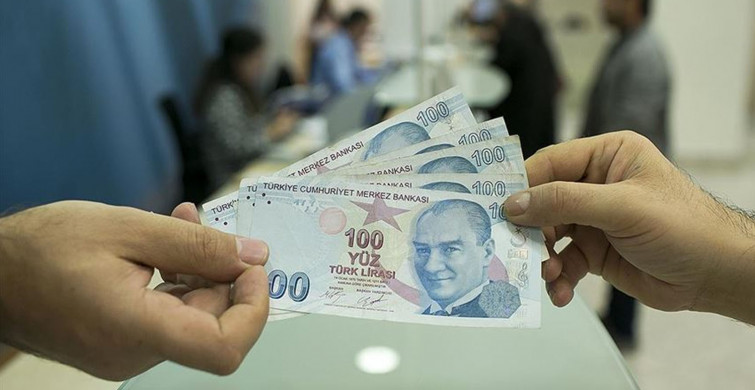Tarım ve Orman Bakanlığı'nın Destek Ödemeleri Hesaplarda!