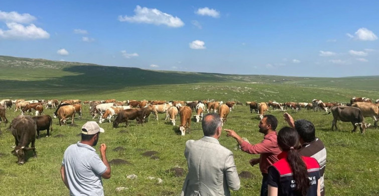Tarım ve Orman Müdürü Enver Aydın, 2 bin 500 rakımlı Susuz Yaylası’nda üreticilerle buluştu