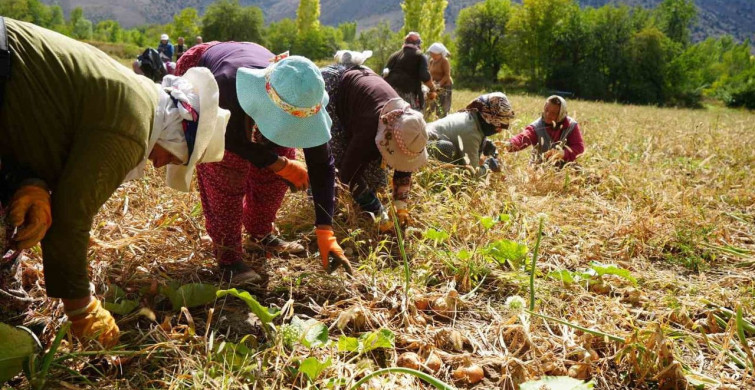 Tarım Yatırımlarında Yüzde 70 Hibe Desteği