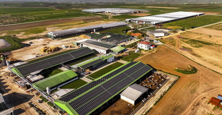 Tarımda Dijital Dönüşüm: TÜME'nin Rolü