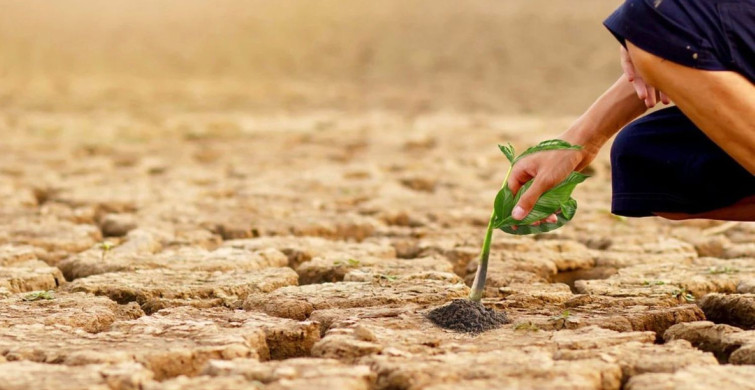 Tarımda kötü haber: Yağışlar alarm veriyor