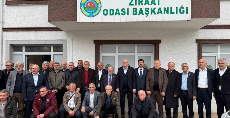 Tarımda Zor Süreç ve Fındık Rekoltesindeki Düşüş