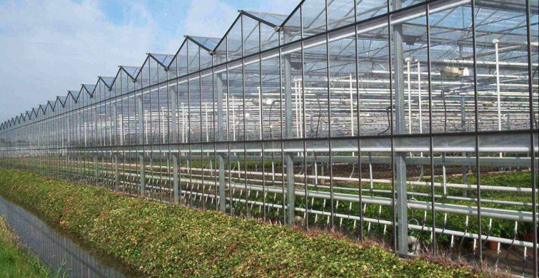 Tarımsal Yapılar ve Sulama DGS 2022 taban puanları ve bölüm kontenjanları