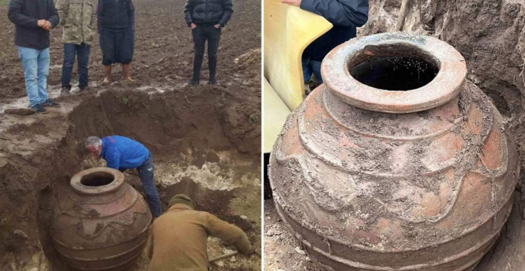 Tarla sürerken bulundu: Hemen koruma altına alındı