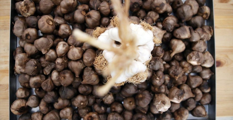 Taşköprü Siyah Sarımsağından Sabun Üretimi