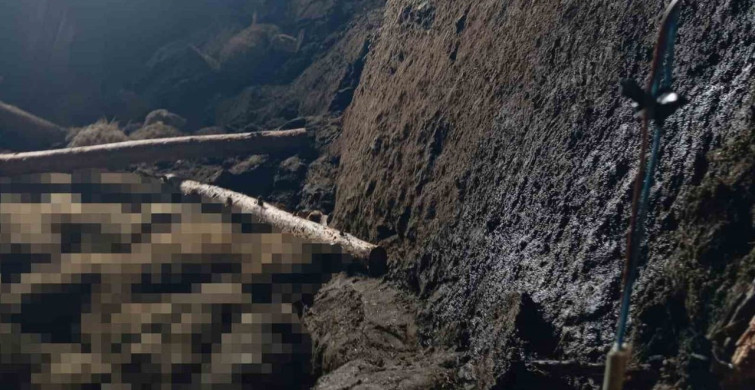 Taşköprü'de Ahır Göçmesi: Bir Kadın Kurtarıldı, Hayvanlar Enkaz Altında Kaldı