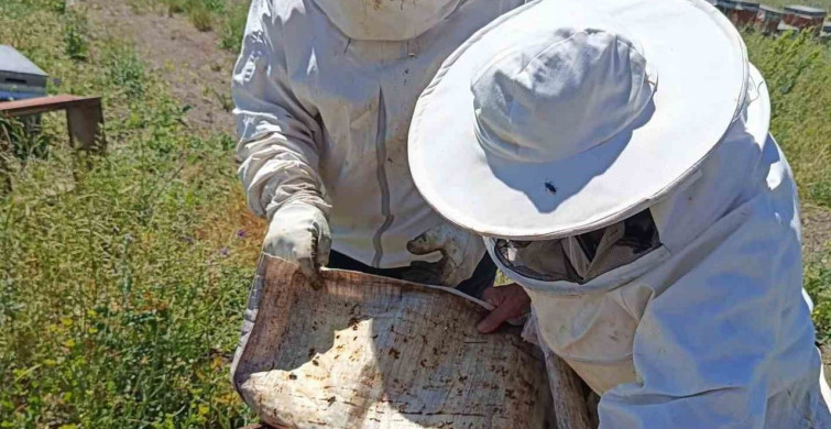 Tavşanlı’da gezginci arıcılık işletmeleri ziyaret edildi
