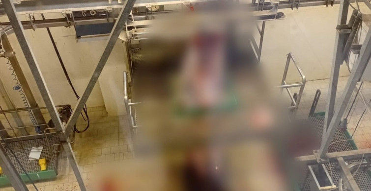 Tavşanlı'da Kurban Kesim Elemanı Kursu Düzenlendi