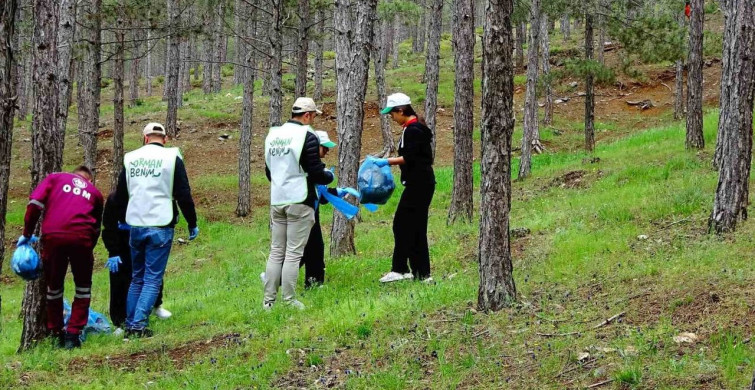 Tavşanlı'da Orman Bilinci İçin Temizlik Etkinliği