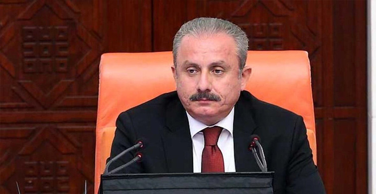 TBMM Başkanı Şentop : Diplomasinin En Önemli Ayağıdır