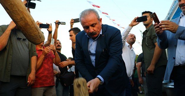 TBMM Başkanı Şentop Tokmakla Buğday Dövdü