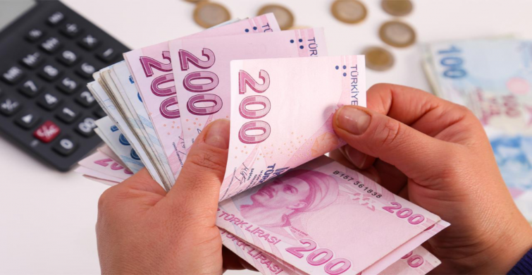 TC kimlik numaranızı kontrol etmeyi unutmayın! 9 BİN TL NAKİT destek yatırıldı