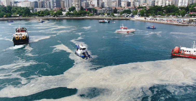 Tehlike Çanları Çalıyor! Meteoroloji Uzmanları Hava Sıcaklığının Müsilajı Arttıracağını Söylüyor