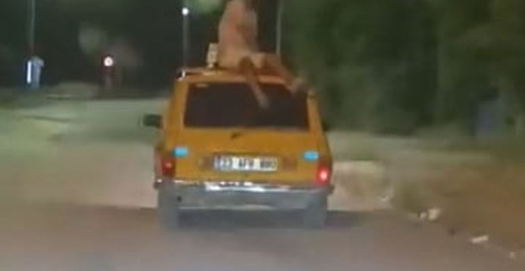 Tehlikeli Yolculuk: Otomobilin Tavanında Seyahat