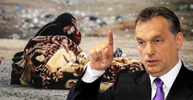 'Tek Bir Müslüman Alırsam Beni Direğe Asın'