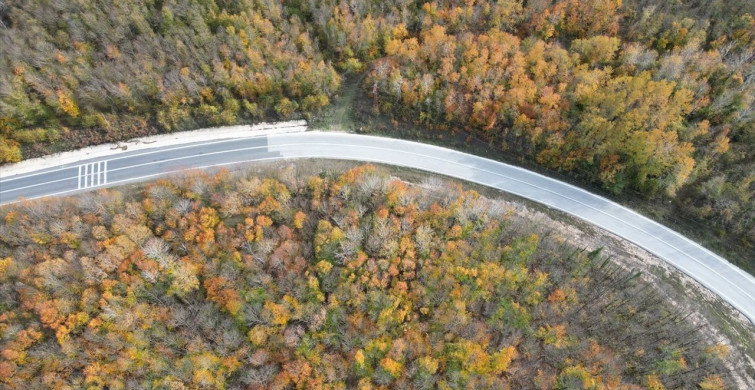 Tekirdağ Ormanları Sonbaharda Renk Cümbüşü Sunuyor