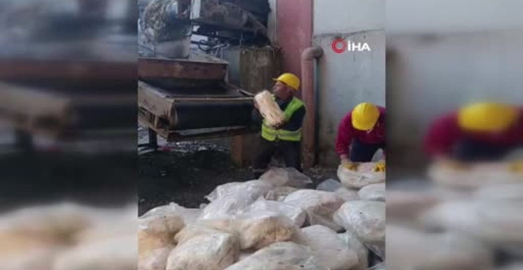 Tekirdağ'da 1 Ton 200 Kilogram Sağlıksız Mumbar İmha Edildi