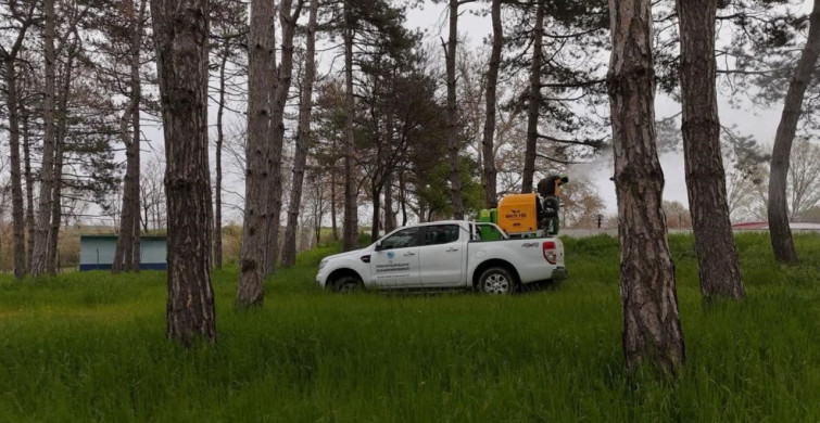 Tekirdağ'da 5 bin 208 üreme noktasına müdahale