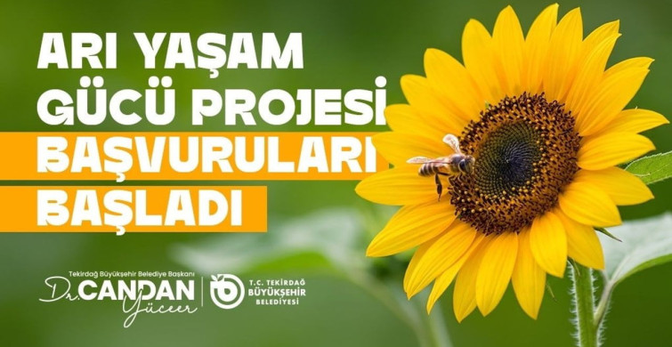 Tekirdağ'da Arıcılara Yem Desteği Başvuruları Başladı