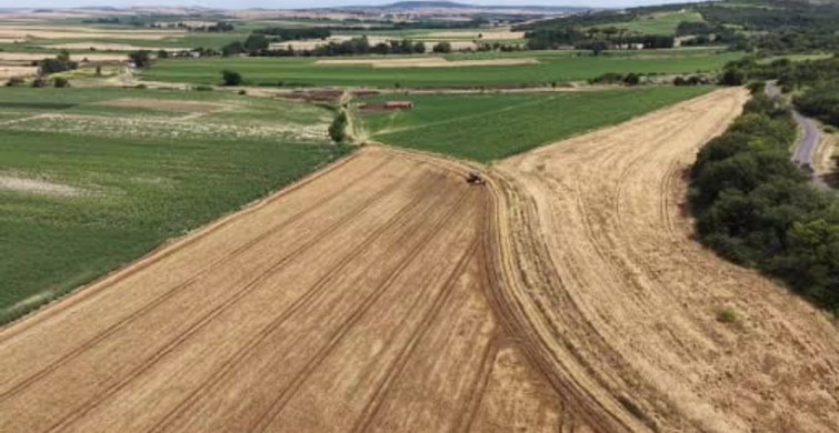 Tekirdağ'da arpa hasadı başladı