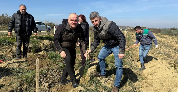 Tekirdağ'da Basın Mensupları Fidan Dikti