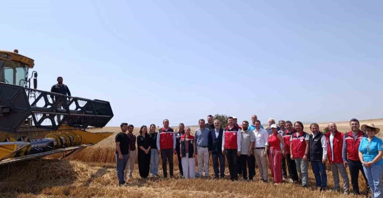 Tekirdağ'da bitkisel yağ üretiminde gıda güvenliği mercek altında