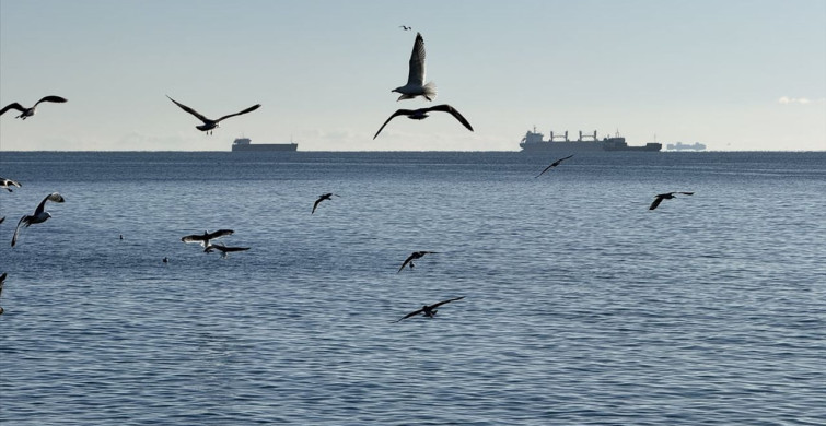 Tekirdağ'da Deniz Ulaşımı Yeniden Başladı
