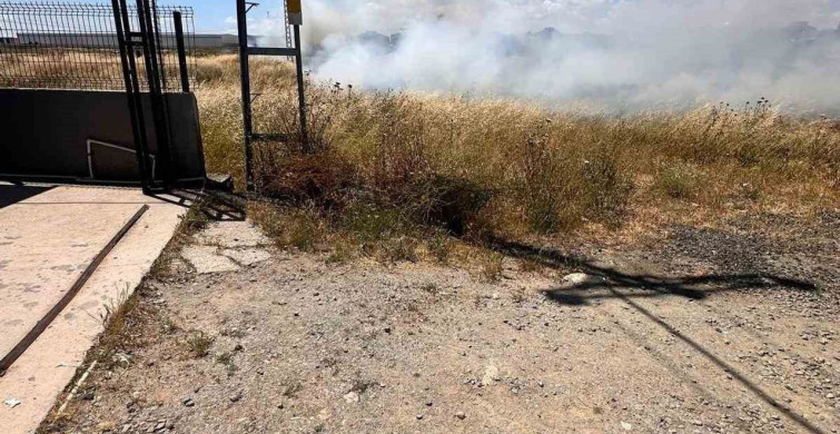 Tekirdağ'da elektrik tellerine çarpan kuş yangın çıkardı