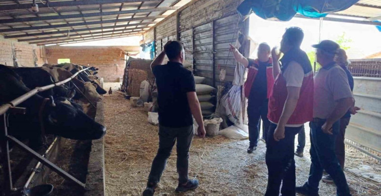 Tekirdağ'da Hayvancılık Faaliyetleri İncelendi