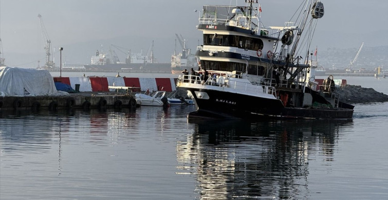 Tekirdağ'da İstavrit Avı Bereketi Devam Ediyor
