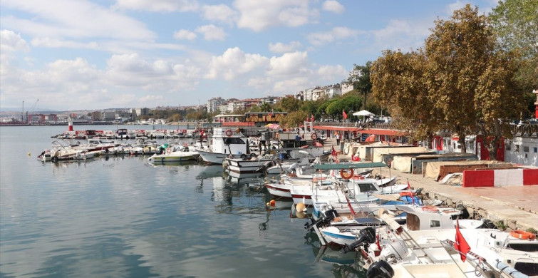 Tekirdağ'da İstavrit Avı Sevinci