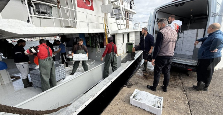 Tekirdağ'da İstavrit Bolluğu Balıkçıları Sevindiriyor