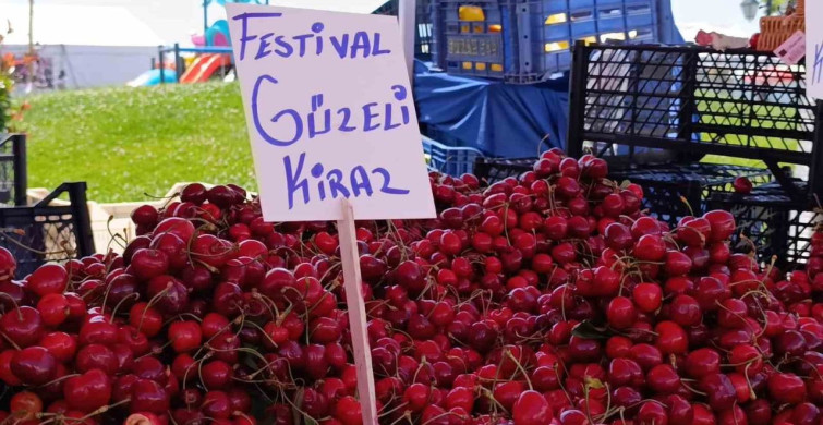 Tekirdağ'da Kiraz Fiyatları Düşüşte