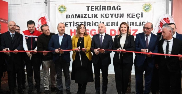 Tekirdağ'da Küçükbaş Hayvancılık Festivali Coşkuyla Başladı