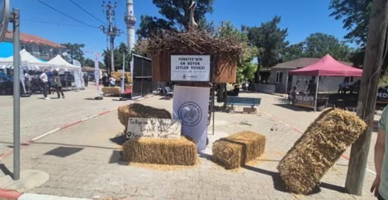 Tekirdağ'da leylek festivali düzenlendi